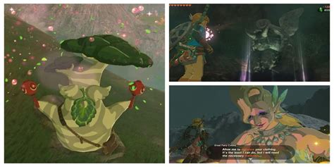 Tears Of The Kingdom: 10 Best Side Quests, Ranked.